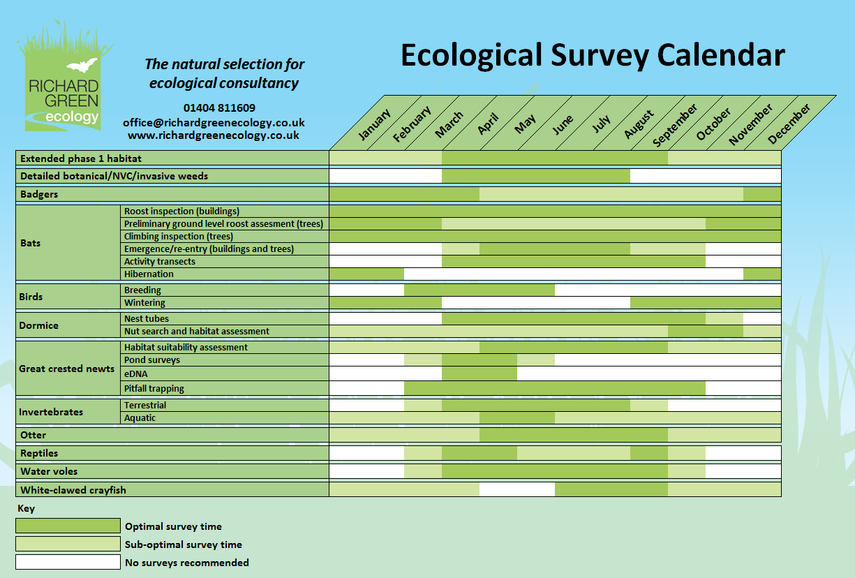 Richard Green Ecology Ecological Consultant Devon